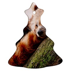 Red Panda Christmas Tree Ornament (2 Sides) by trendistuff