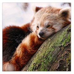 Red Panda Large Satin Scarf (square) by trendistuff