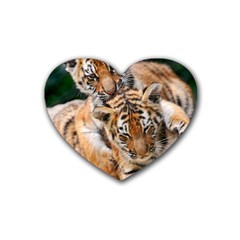 Baby Tigers Heart Coaster (4 Pack)  by trendistuff