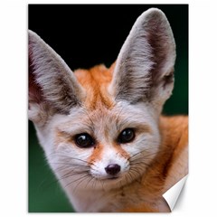 Baby Fox Canvas 18  X 24   by trendistuff