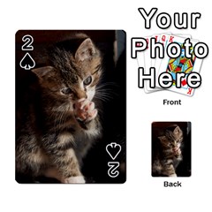 Talk To The Paw Playing Cards 54 Designs  by trendistuff