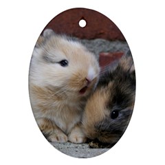 Small Baby Rabbits Ornament (oval) 