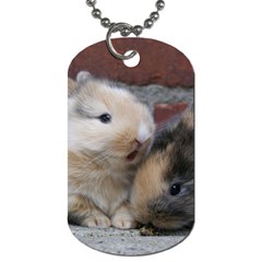 Small Baby Rabbits Dog Tag (one Side) by trendistuff