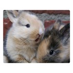 SMALL BABY RABBITS Double Sided Flano Blanket (Large)  80 x60  Blanket Front
