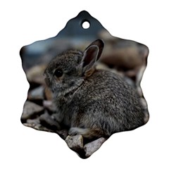 Small Baby Bunny Snowflake Ornament (2-side) by trendistuff