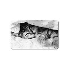 Sleepy Kitty Magnet (name Card) by trendistuff