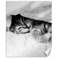 Sleepy Kitty Canvas 16  X 20   by trendistuff