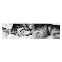 Sleepy Kitty Satin Scarf (oblong) by trendistuff