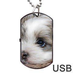 Sad Puppy Dog Tag Usb Flash (two Sides)  by trendistuff
