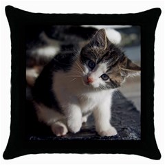 Questioning Kitty Throw Pillow Cases (black) by trendistuff