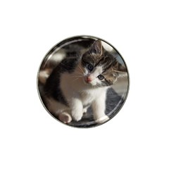 Questioning Kitty Hat Clip Ball Marker (10 Pack) by trendistuff