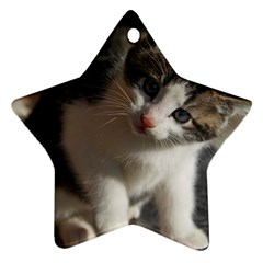 Questioning Kitty Star Ornament (two Sides) 