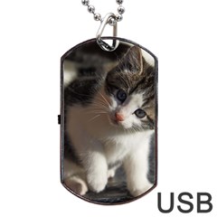 Questioning Kitty Dog Tag Usb Flash (two Sides)  by trendistuff