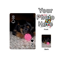 Puppy With A Chew Toy Playing Cards 54 (mini)  by trendistuff