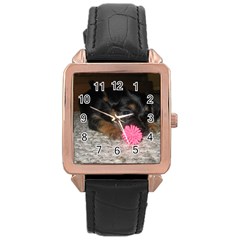 Puppy With A Chew Toy Rose Gold Watches by trendistuff