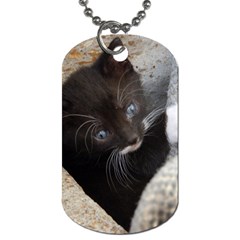 Pretty Blue-eyed Kitty Dog Tag (one Side) by trendistuff