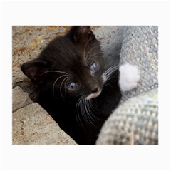 Pretty Blue-eyed Kitty Small Glasses Cloth by trendistuff