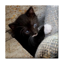 Pretty Blue-eyed Kitty Face Towel by trendistuff