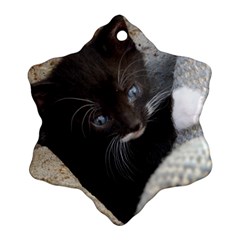 Pretty Blue-eyed Kitty Snowflake Ornament (2-side) by trendistuff