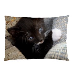 Pretty Blue-eyed Kitty Pillow Cases (two Sides) by trendistuff