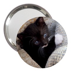 Pretty Blue-eyed Kitty 3  Handbag Mirrors by trendistuff