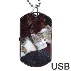 Kitty Twins Dog Tag Usb Flash (two Sides)  by trendistuff