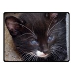 KITTY IN A CORNER Fleece Blanket (Small) 50 x40  Blanket Front