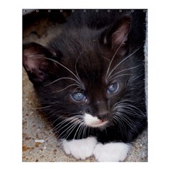 Kitty In A Corner Shower Curtain 60  X 72  (medium)  by trendistuff