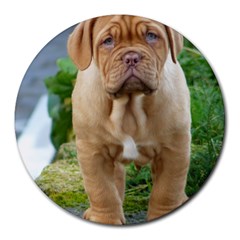 Cute Wrinkly Puppy Round Mousepads by trendistuff