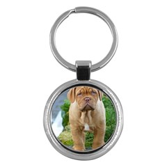 Cute Wrinkly Puppy Key Chains (round)  by trendistuff