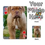 CUTE WRINKLY PUPPY Playing Cards 54 Designs  Front - Heart6