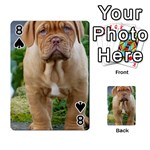 CUTE WRINKLY PUPPY Playing Cards 54 Designs  Front - Spade8