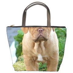 Cute Wrinkly Puppy Bucket Bags by trendistuff