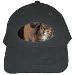 CUTE KITTIES Black Cap