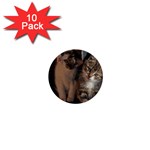 CUTE KITTIES 1  Mini Buttons (10 pack) 