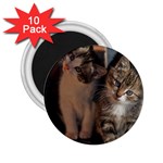 CUTE KITTIES 2.25  Magnets (10 pack) 