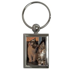 Cute Kitties Key Chains (rectangle)  by trendistuff