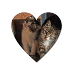 CUTE KITTIES Heart Magnet