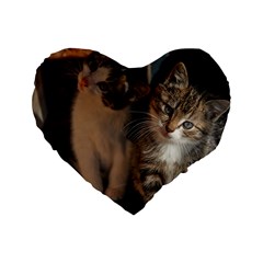 Cute Kitties Standard 16  Premium Flano Heart Shape Cushions by trendistuff