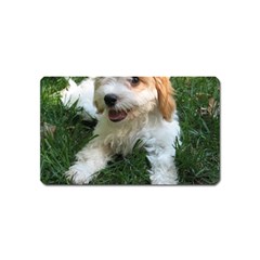 Cute Cavapoo Puppy Magnet (name Card) by trendistuff