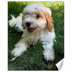 Cute Cavapoo Puppy Canvas 11  X 14   by trendistuff