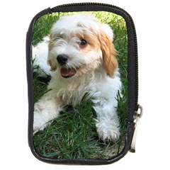 Cute Cavapoo Puppy Compact Camera Cases by trendistuff