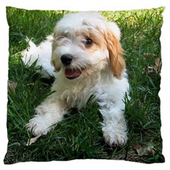Cute Cavapoo Puppy Large Flano Cushion Cases (two Sides)  by trendistuff