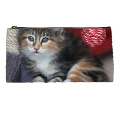 Comfy Kitty Pencil Cases by trendistuff