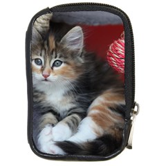 Comfy Kitty Compact Camera Cases by trendistuff