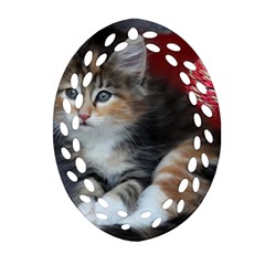 Comfy Kitty Ornament (oval Filigree)  by trendistuff