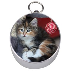 Comfy Kitty Silver Compasses by trendistuff