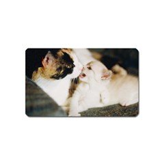 Calico Cat And White Kitty Magnet (name Card) by trendistuff