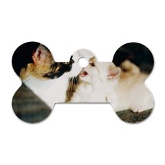 Calico Cat And White Kitty Dog Tag Bone (two Sides) by trendistuff