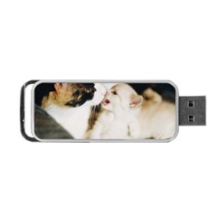 Calico Cat And White Kitty Portable Usb Flash (two Sides) by trendistuff